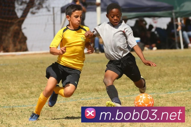 多彩内容专区